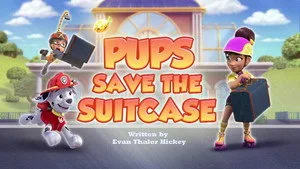 Pups Save the Suitcase