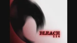 Reunion, Ichigo and Rukia and Soul Reapers