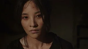 Episode 29