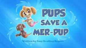 Pups Save a Mer-Pup
