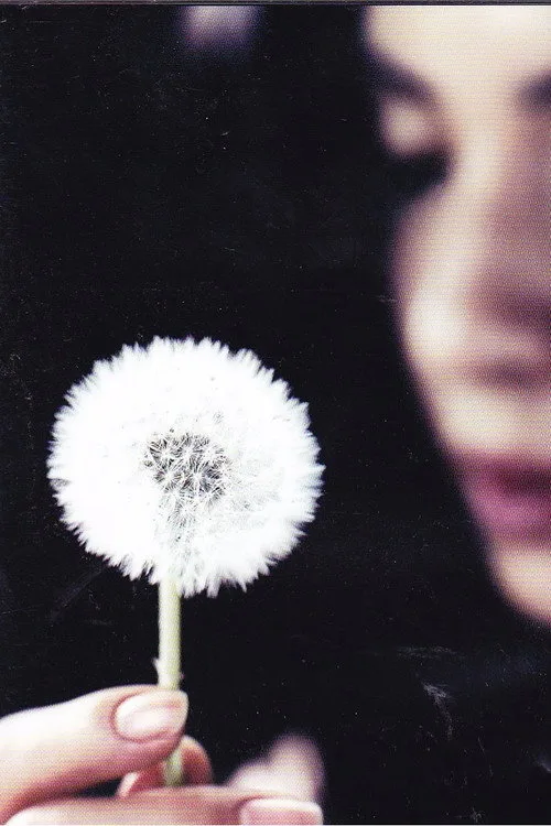 Muhlifein